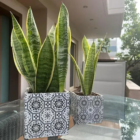 Palmyra Villa Athens
